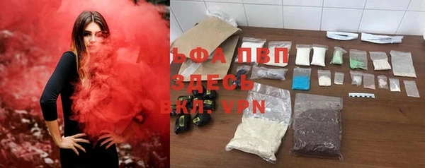 PSILOCYBIN Балабаново