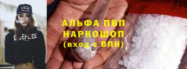 стафф Аркадак
