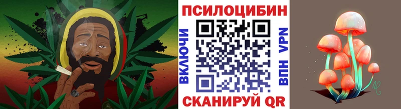 Псилоцибиновые грибы мухоморы где купить наркоту Петухово