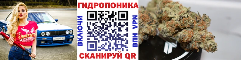 Марихуана ГИДРОПОН  мега маркетплейс  Петухово 